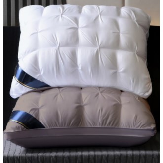 ���߿��� ���� ���� ���� ȣ�ں��� ǫ���� ����